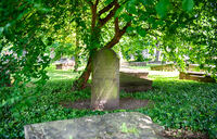K&ouml;ln-Geusenfriedhof-1