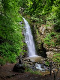 Schwarzwald 23.05.2022 Todtmooser Wasserfall-24