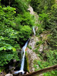 Schwarzwald 31.05.2022 Allerheiligen Wasserfall-14